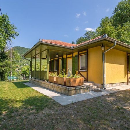 Vila Camelia Golubac Ngoại thất bức ảnh