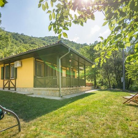 Vila Camelia Golubac Ngoại thất bức ảnh
